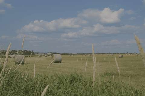 Kapuskasing Meats